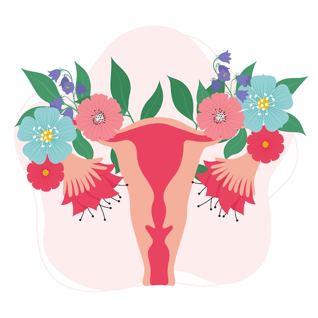 Vector sistema reproductor femenino con flores útero útero órgano reproductor femenino ilustración vectorial