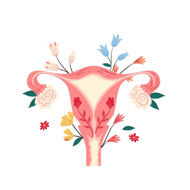 Vector sistema reproductor femenino con flores.