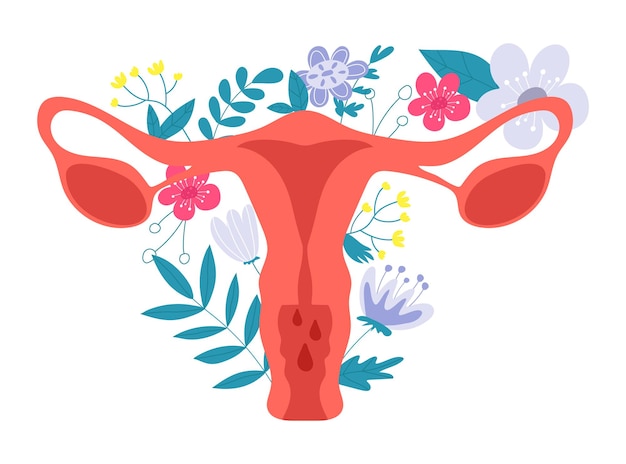 Vector sistema reproductor femenino con flores.