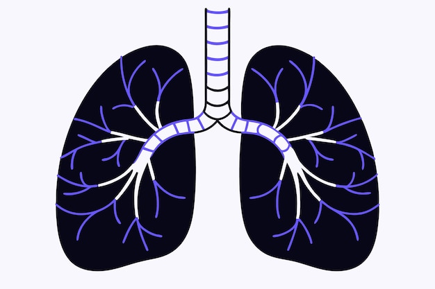 Sistema respiratorio humano estructura pulmonar bronquiolos y alveoles pulmonares con ilustración de la red capilar en fondo blanco