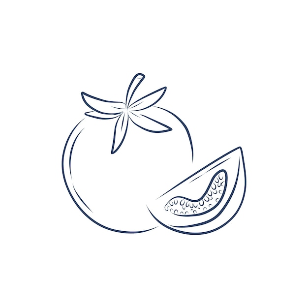 Sketch comestibles tomate ilustración línea blanco y negro