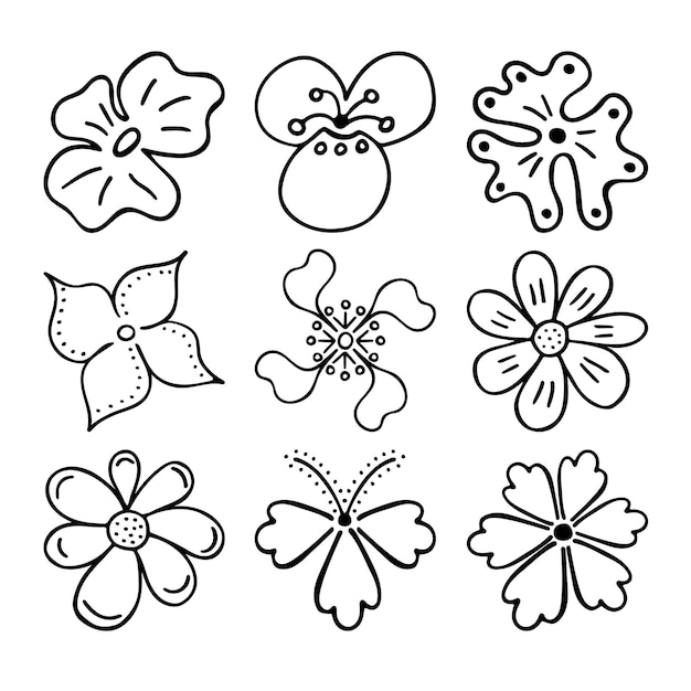 Sketch doodle contorno flores Dibujo dibujado a mano de brotes de plantas durante la floración Siluetas de pétalos