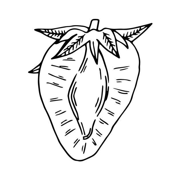 Sketch de media fresa con hojas