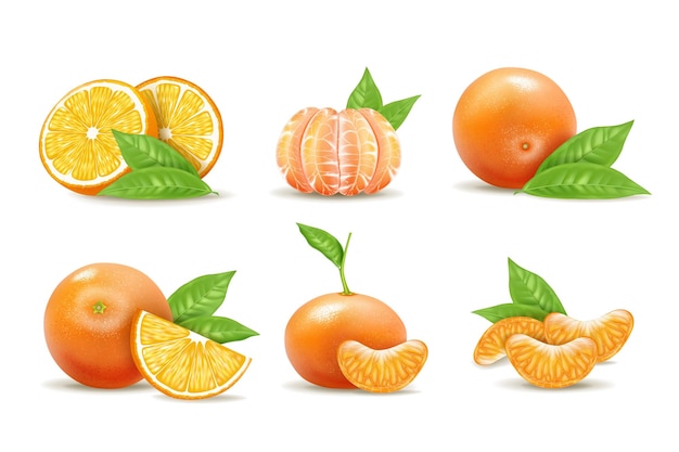 Slice cítricos naranja mandarina fruta cortada a mitad y entera jugo hoja verde fresca c vitamina ácido comida madura dieta tropical composición de mandarina vector 3d ilustración aislada realista