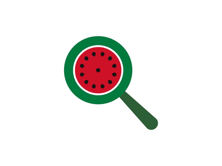 Slice de fruta de sandía con ilustración vectorial de las semillas