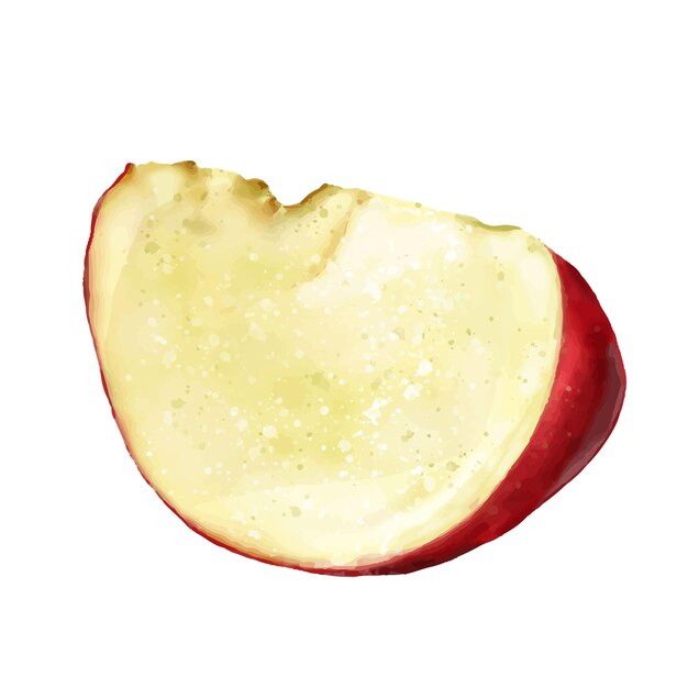 Slice de manzana roja Ilustración en acuarela para el diseño de cafés restaurantes recetas menús