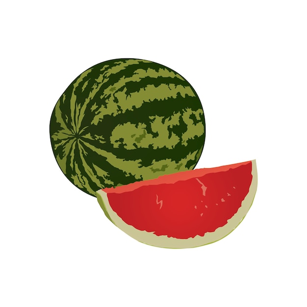 Slice de sandía Ilustraciones de stock basadas en un dibujo vectorial en el fondo de whtie vol 01