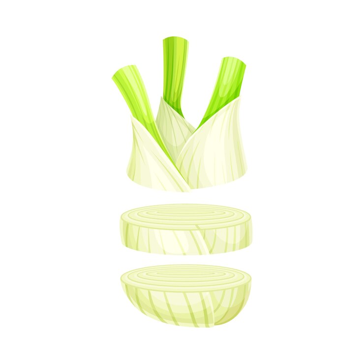 Vector slices de apio ying en fila vertical ilustración vectorial de verduras orgánicas saludables aisladas en fondo blanco