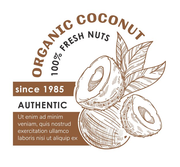 Vector snacks orgánicos de coco y nueces frescas para veganos