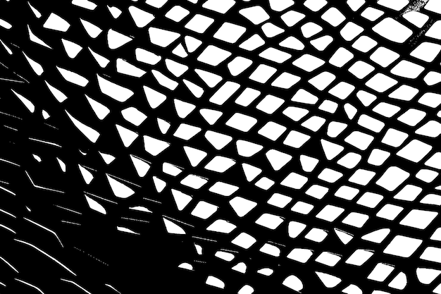 Sofisticada textura de superposición negra Ilustración monocromática para todos los propósitos