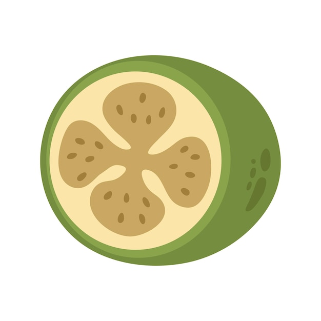 Una sola feijoa verde jugosa cortada a la mitad Ilustración de frutas de bayas de invierno dibujada a mano