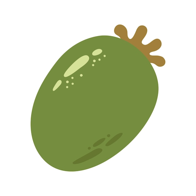 Una sola feijoa verde y jugosa Ilustración de frutas de bayas de invierno dibujada a mano