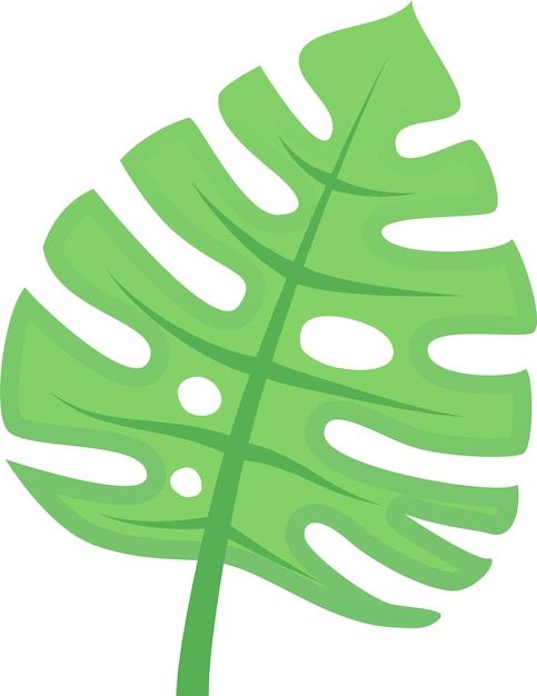 Una sola hoja de monstera verde que crece hacia arriba con divisiones y agujeros icónicos aislados en un fondo blanco Perfecto para proyectos relacionados con plantas de la naturaleza y temas tropicales