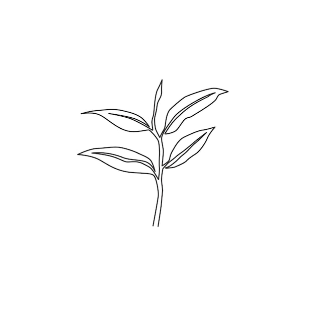 Una sola línea dibujando hojas de té orgánicas saludables brote tierno fresco de té para el icono de la hoja de té