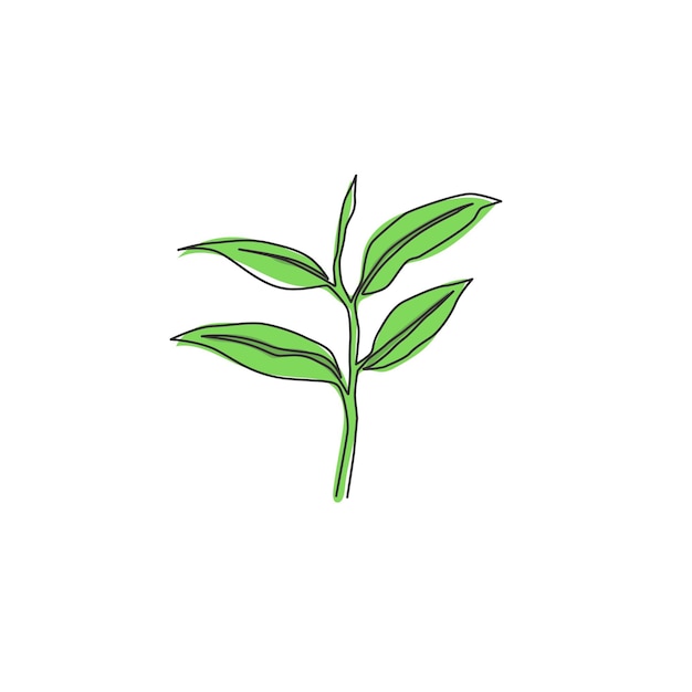 Una sola línea dibujando hojas de té orgánicas saludables brote tierno fresco de té para el icono de la hoja de té