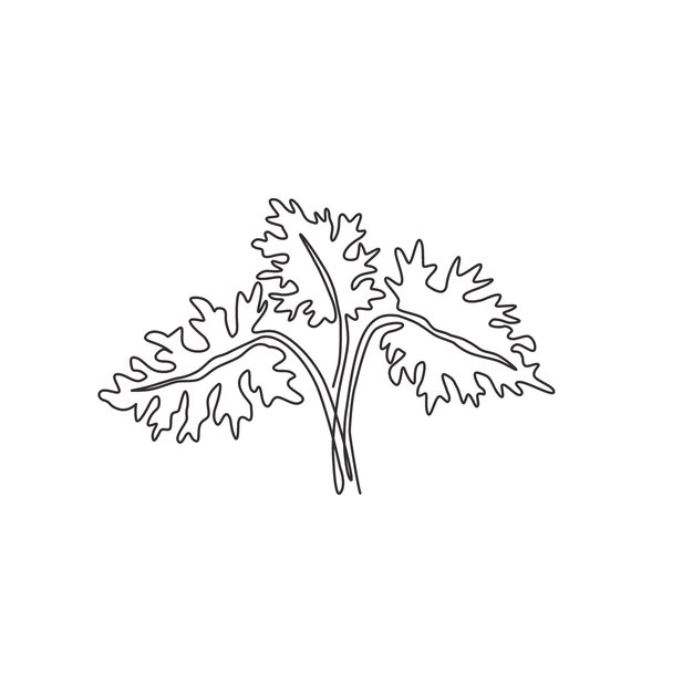 Una sola línea dibujando una planta de hojas tropicales Imprimible vector de diseño decorativo de filodendro selloum