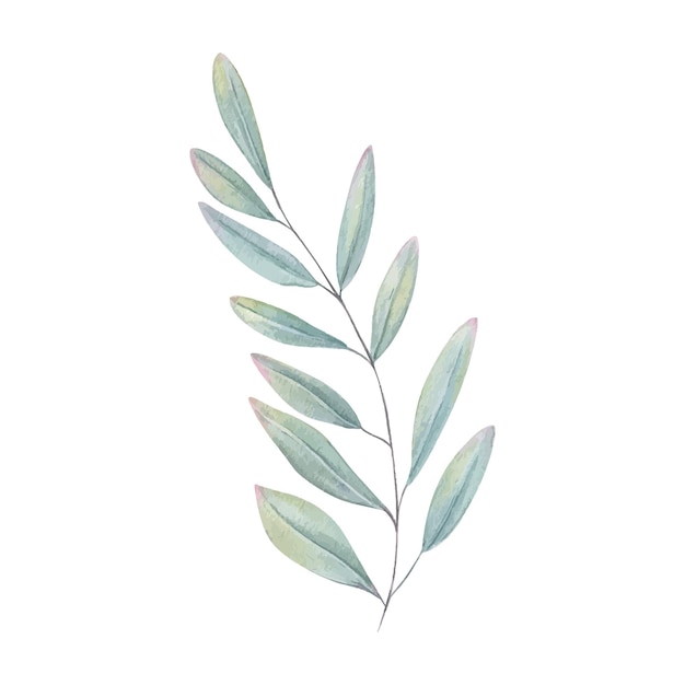 Una sola ramita con hojas de eucalipto en tonos de verde menta y espuma marina ilustración de acuarela fondo aislado rama de planta pintada a mano para spa decoración interior de marca belleza orgánica