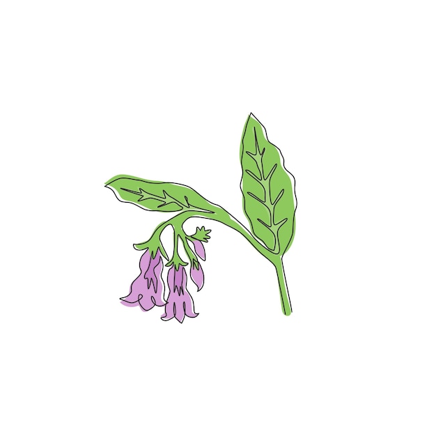 Un solo dibujo de línea continua de simfito fresco para el logotipo del jardín Vector de diseño de flores Comfrey