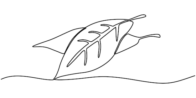 Un solo dibujo de una línea de hojas de bahía Concepto de verduras Diseño de dibujo de línea continua vector gráfico