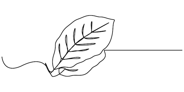Un solo dibujo de una línea de hojas de bahía Concepto de verduras Diseño de dibujo de línea continua vector gráfico