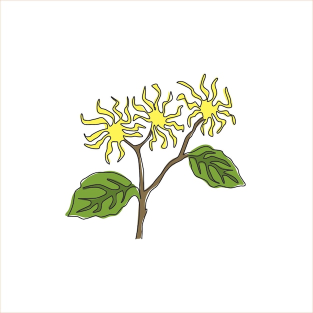 Vector un solo dibujo de una línea del logotipo del jardín de las avellanas decorativas de flores de invierno vector de diseño de pared