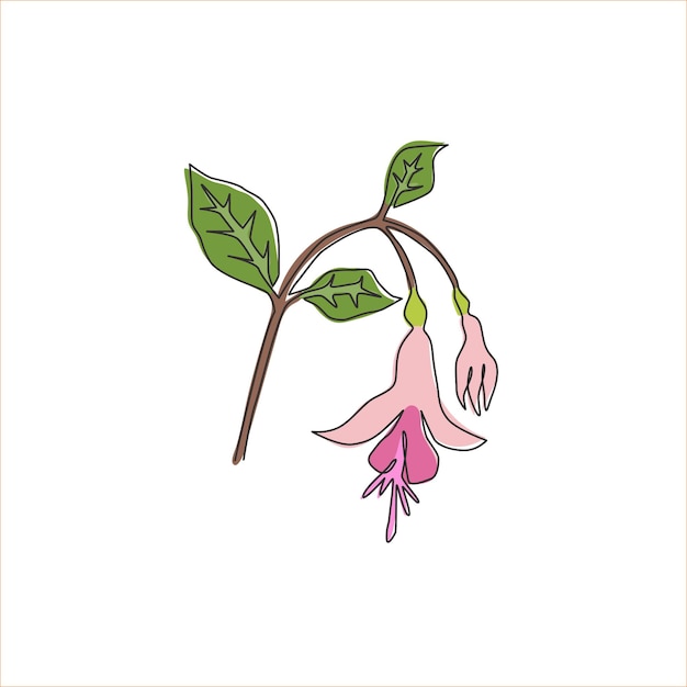 Un solo dibujo de una línea logotipo de jardín de fucsia arbustos decorativos plantas con flores vector de diseño de pared