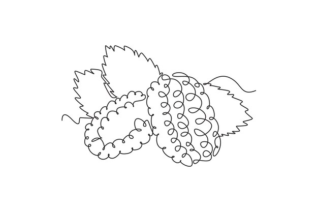 Un solo dibujo de una línea de morera orgánica sana para la identidad del logotipo del huerto Concepto de frutas de bayas frescas para el icono del huerto Diseño de dibujo de líneas continuas modernas Ilustración gráfica vectorial
