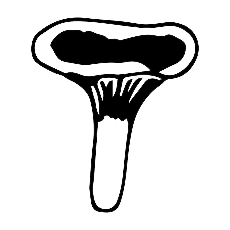 Vector un solo elemento vectorial hongo fondo blanco.