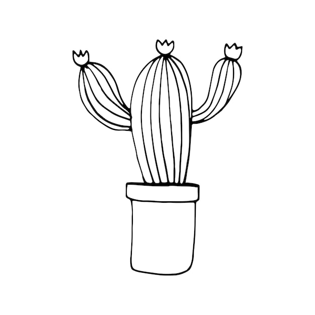 Vector solo maceta de cactus dibujados a mano lindo. planta de la casa del ejemplo del vector del doodle para el diseño de la boda, logotipo, tarjeta de felicitación o diseño estacional. aislado sobre fondo blanco.