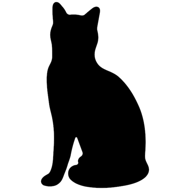 La sombra del gato es única 26