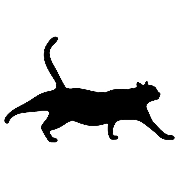Sombra de gato sencillo 17