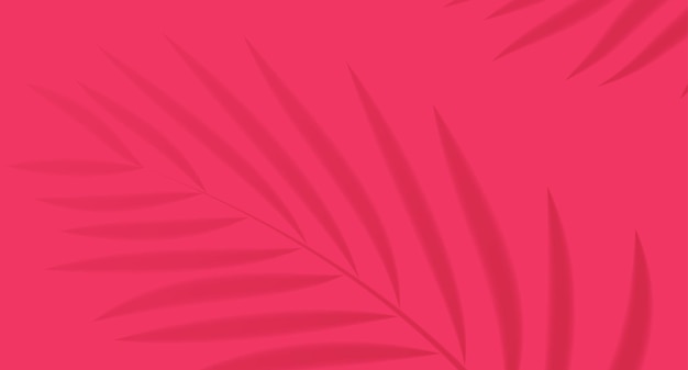 La sombra de las ramas de palma sobre un fondo rosado brillante crea la atmósfera de un verano tropical