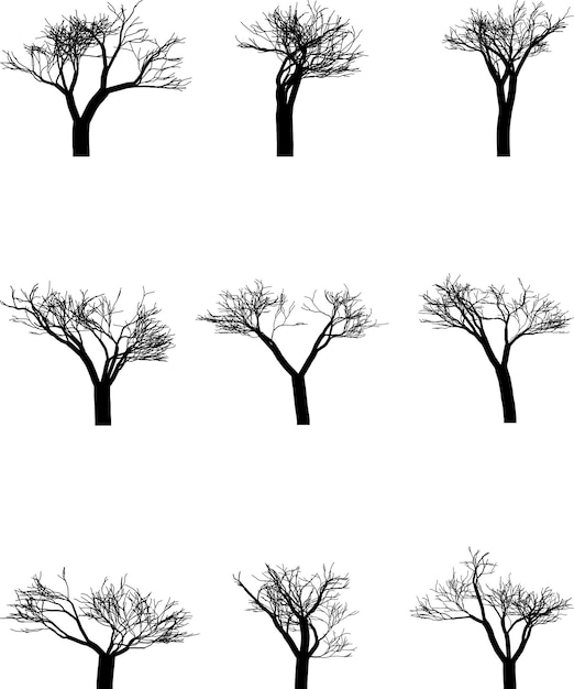 Vector las sombras encantadas de los árboles una silueta majestuosa de un árbol