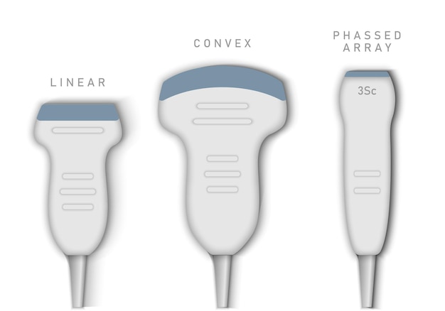 Vector sonda de ecografía