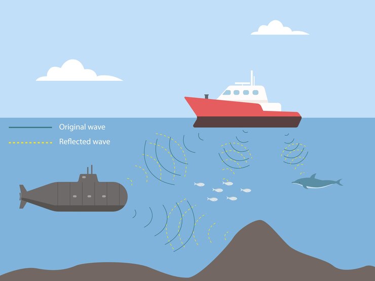 Vector el sonido del sonar biológico detecta el objeto, localiza el sistema oceánico de radar de eco.