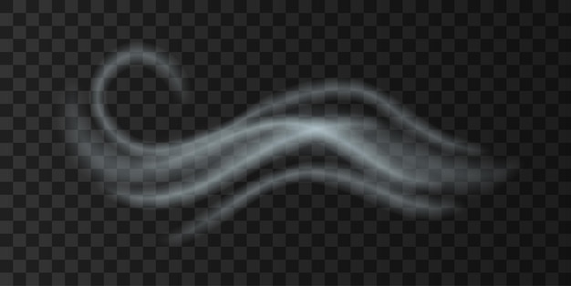 Soplo de niebla de viento frío, icono de clima realista. Icono de pronóstico de otoño o invierno con humo blanco volando
