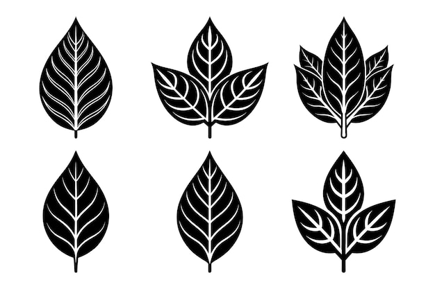 Sorrel vegetales y hierbas orgánicas conjuntos vector en fondo blanco Vector Art Ilustración en blanco