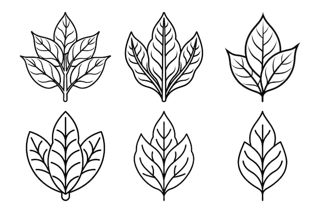 Sorrel vegetales y hierbas orgánicas conjuntos vector en fondo blanco Vector Art Ilustración en blanco