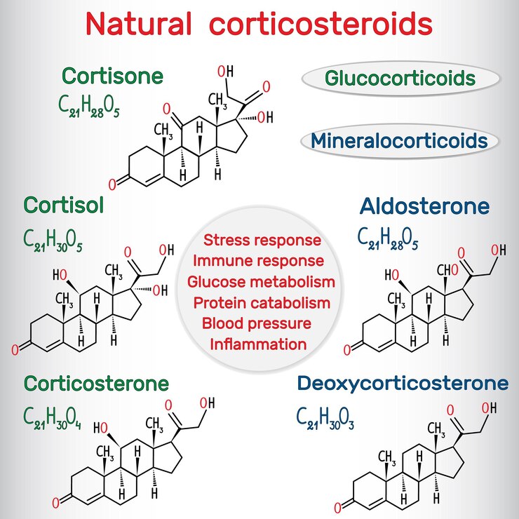 Vector los sorticosteroides naturales son el sortizol, la sortizona, la sorticosterona, la aldosterona y la desoxicorticosterona.