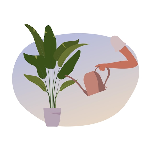 Sosteniendo un riego puede regar las plantas vector de diseño plano
