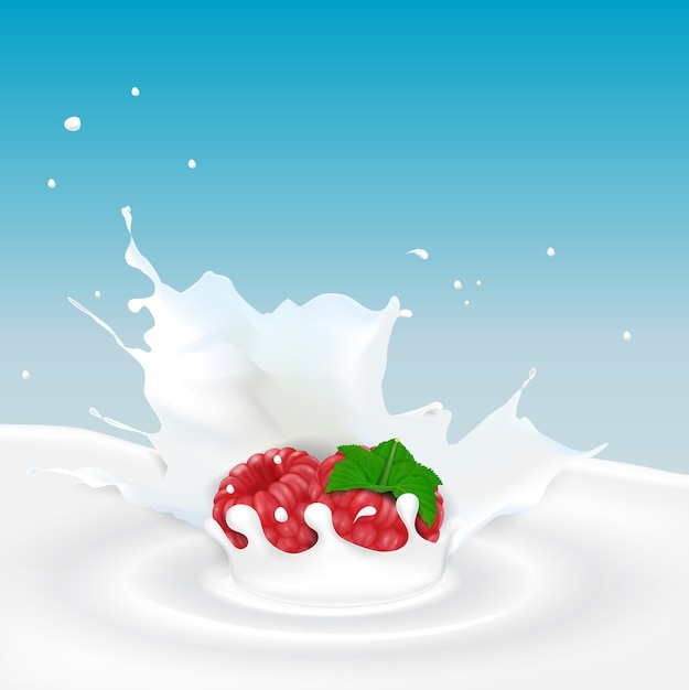 Vector splash de leche con fruta de frambuesa