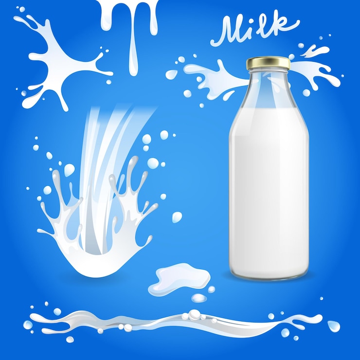Splash de leche con vector de botella de leche