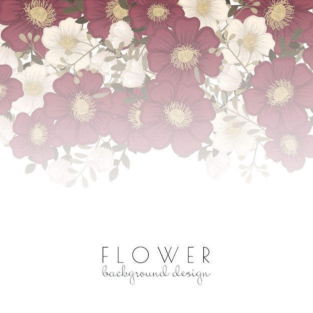 Spring Flower Boarder - Flor azul claro