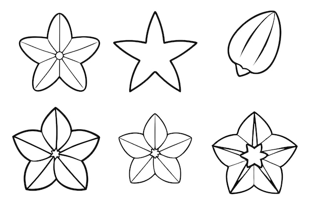 Starfruit línea de arte intrincado boceto en blanco y negro