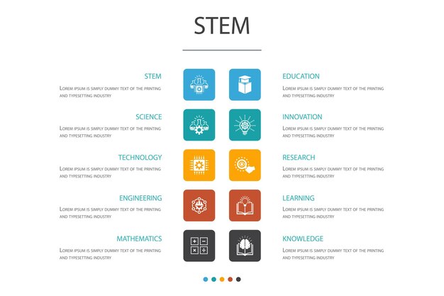 Stem infographic 10 concepto de opción ciencia, tecnología, ingeniería, matemáticas iconos simples