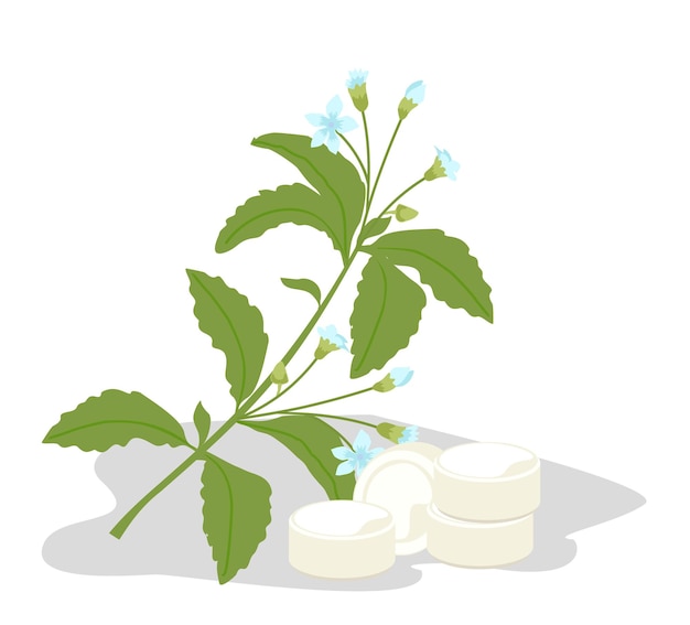 Stevia plant vector stevia edulcorante azúcar sustituto aislado planta alternativa de azúcar saludable