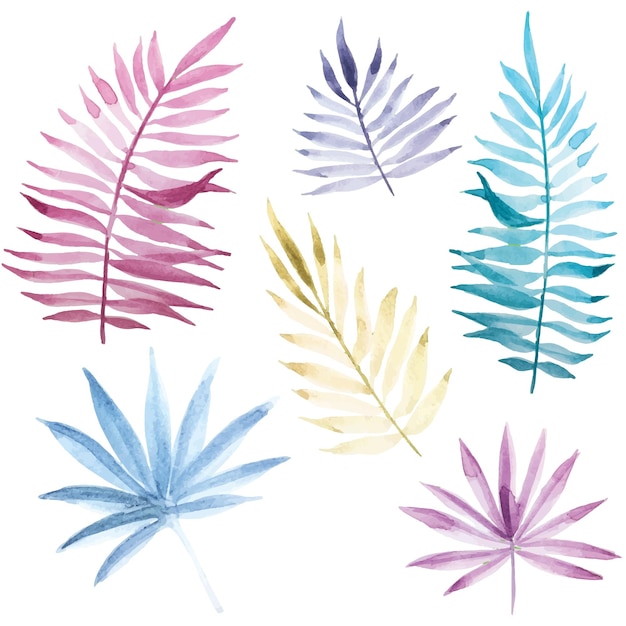 Vector stock ilustración acuarela dibujo conjunto de hojas tropicales hojas de plantas de colores brillantes