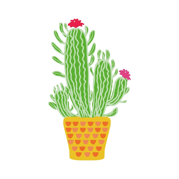 Suculenta vegetación de moda para el hogar cactus verde elementos dibujados a mano para el diseño