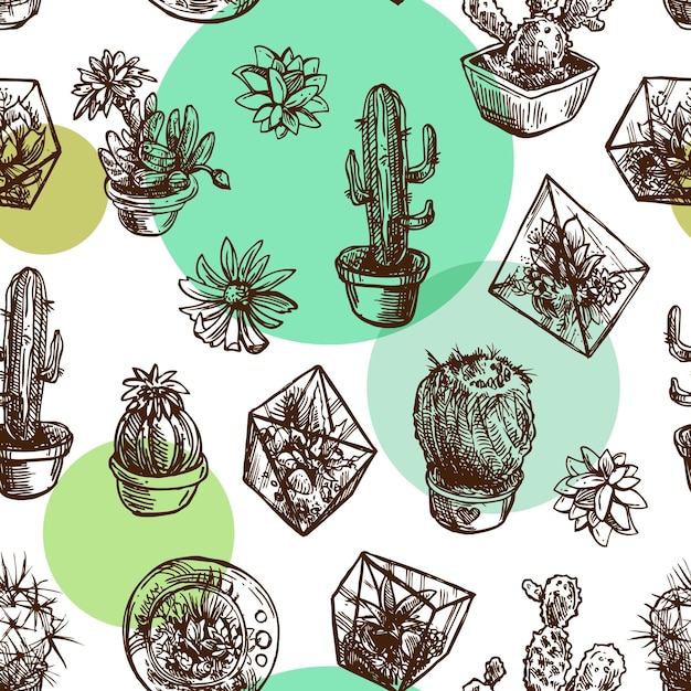Suculentas y cactus