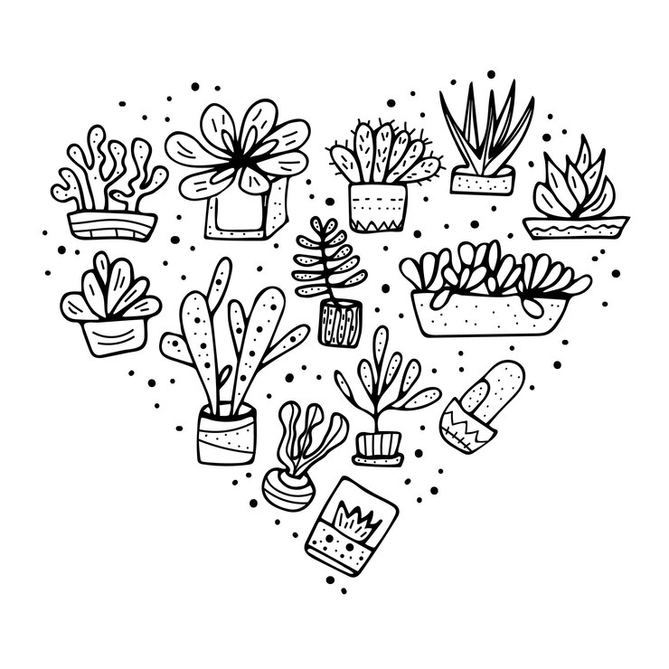 Suculentas en estilo doodle Ilustración vectorial